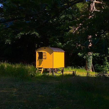 Blackstairs Shepherds Huts Killedmond Dış mekan fotoğraf