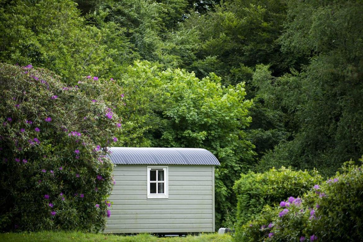Blackstairs Shepherds Huts Killedmond Dış mekan fotoğraf
