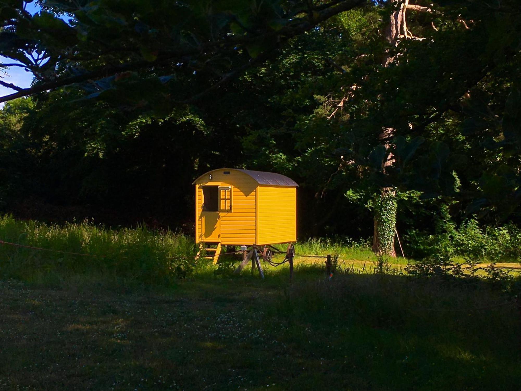 Blackstairs Shepherds Huts Killedmond Dış mekan fotoğraf